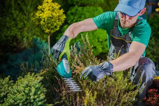 landscaping services Garfield Heights